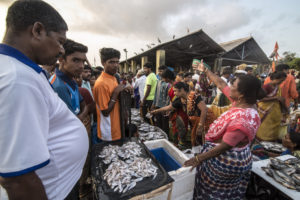 Sassoon Docks