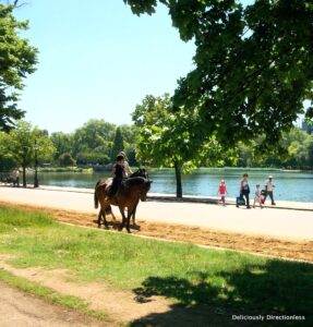 Hyde Park Horse riding