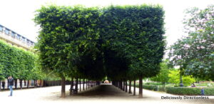 Jardin du Palais-Royal Paris