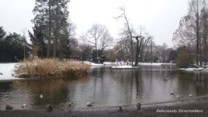 Vienna Stadtpark waterbody